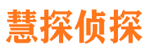 大观市私家侦探